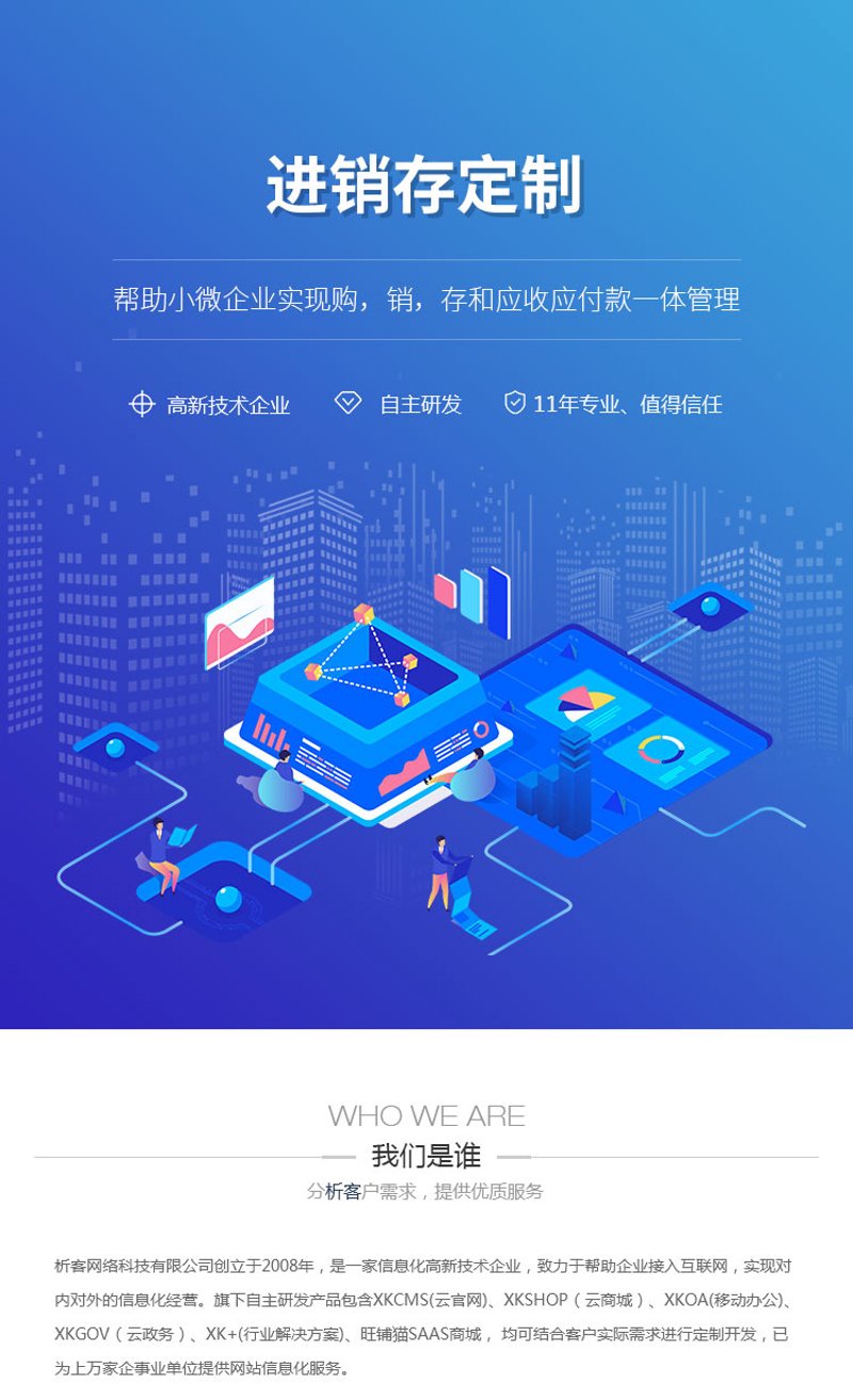 构建高效运营利器：进销存系统开发在现代企业中的重要性